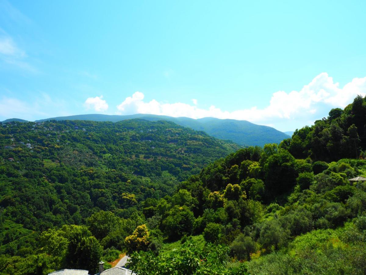 Felitsia Apartments & Studios Agios Ioannis  Luaran gambar