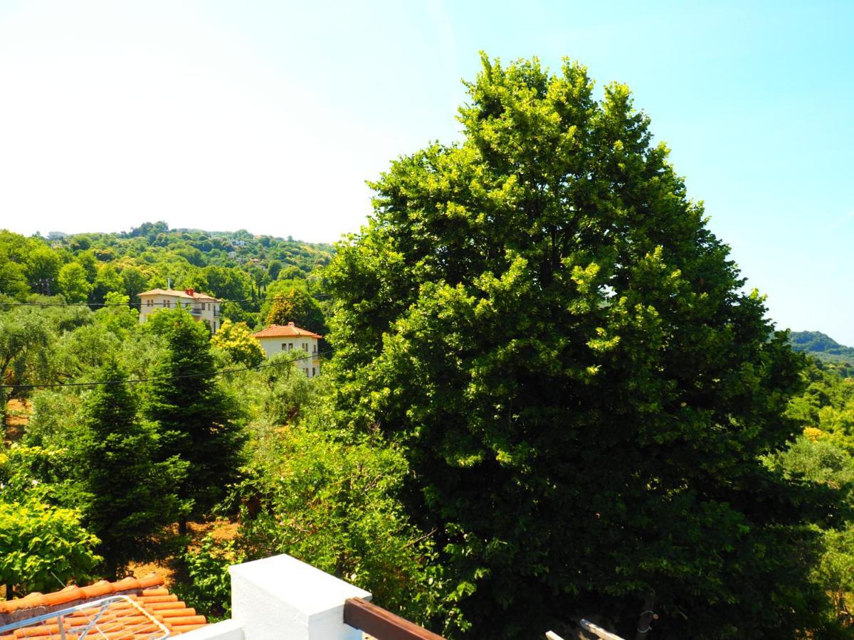 Felitsia Apartments & Studios Agios Ioannis  Luaran gambar