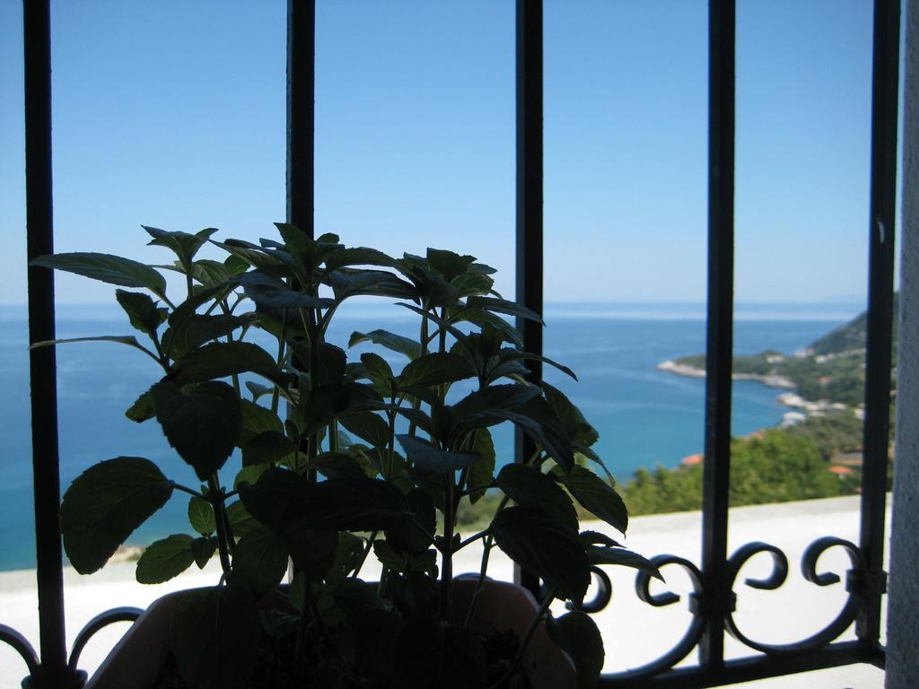 Felitsia Apartments & Studios Agios Ioannis  Luaran gambar