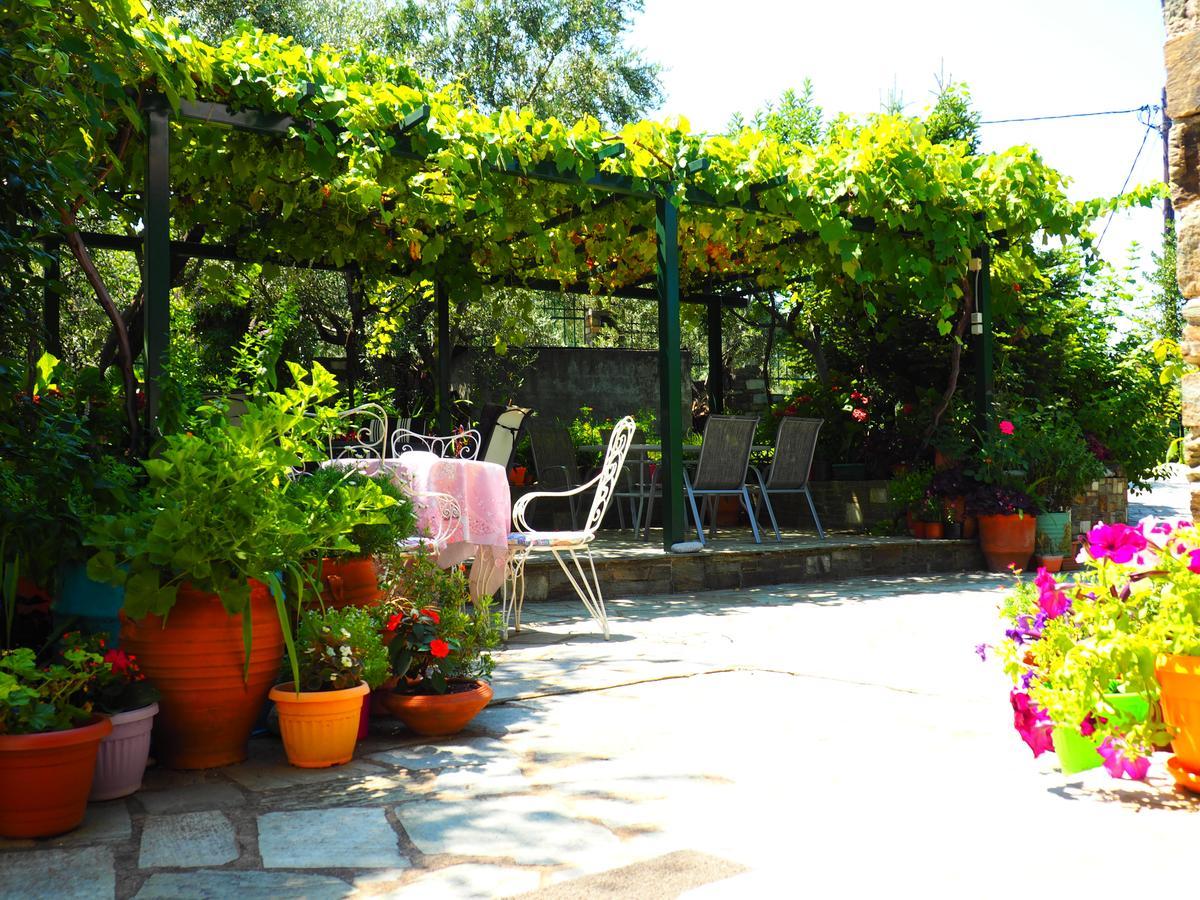 Felitsia Apartments & Studios Agios Ioannis  Luaran gambar