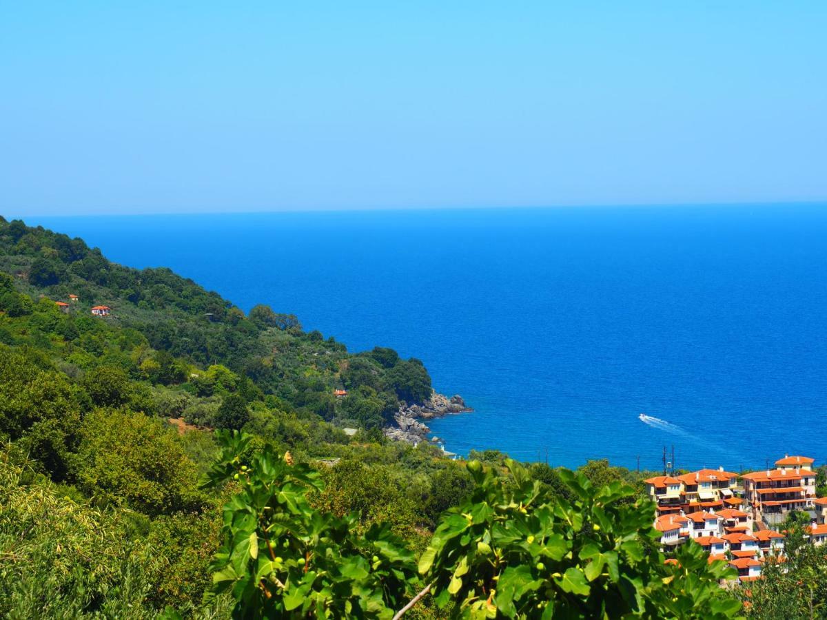 Felitsia Apartments & Studios Agios Ioannis  Luaran gambar