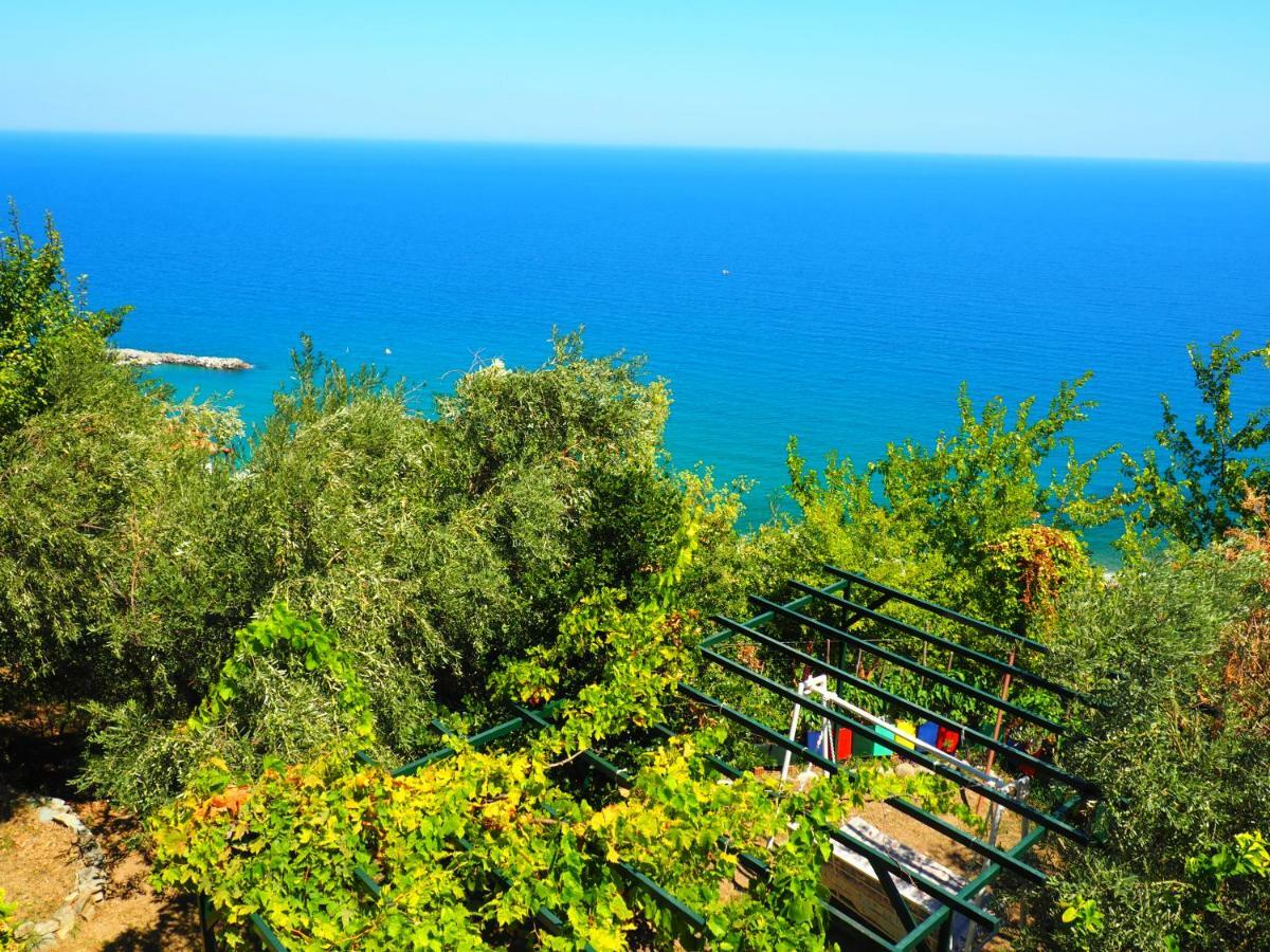 Felitsia Apartments & Studios Agios Ioannis  Luaran gambar